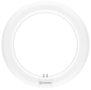 Лампа кольцевая светодиодная  LEDTUBE T9 LED32/865 18.3W 6500K 2200Lm d300 G10q (4099854042546)