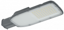 Светильник светодиодный уличный ДКУ LED 1002-100Ш 5000К IP65 LDKU1-1002-100-5000-K03  IEK