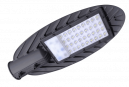 Светильник светодиодный уличный ДКУ LED PSL 03 30w 5000K IP65 GR AC190-260V 5013735  Jazzway