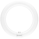 Лампа кольцевая светодиодная  LEDTUBE T9C EM 22/840     11W  4000K  1320Lm  d212 G10q 4099854042621