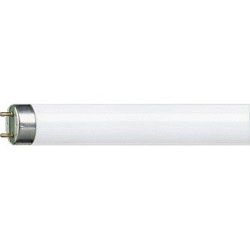  Лампа люминесцентная ЛЛ 18вт L18/640 G13 белая Osram Смоленск (4008321959652)
