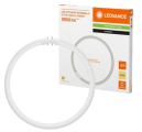 Лампа кольцевая светодиодная LED T5 FC 40/55 EXTERNAL P 21.5W 830 2GX13 4099854300868