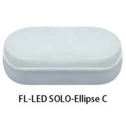 Светильник светодиодный FL-LED SOLO-Ellipse С 12W 4200K IP65 Foton Lighting (610089) 
