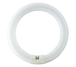 Лампа кольцевая люминесцентная TL-E 32W/33-640 PHILIPS (871150055956215)