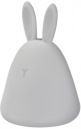 Светильник NIGHTLUX RABBIT TOUCH USB RGBW  2.5W  20Lm  RGB+3000K  USB 4058075602113