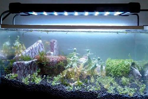 Как подобрать лампу в аквариум?