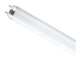 Лампа люминесцентная L 36W/830 PLUS ECO G13 3000K Osram (4050300517896)