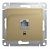 Розетка GLOSSA компьютерная RJ45 5e титан (GSL000481K)